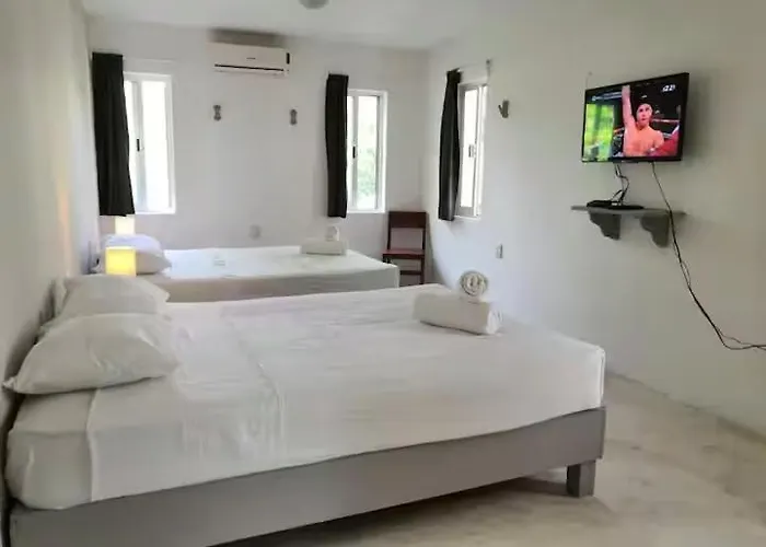 Apartment&studio 28